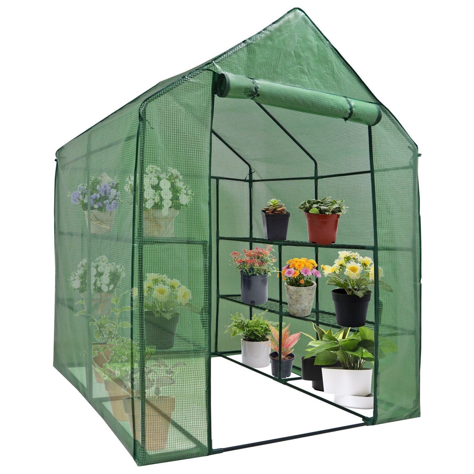 Large Walk-in Plant Greenhouse